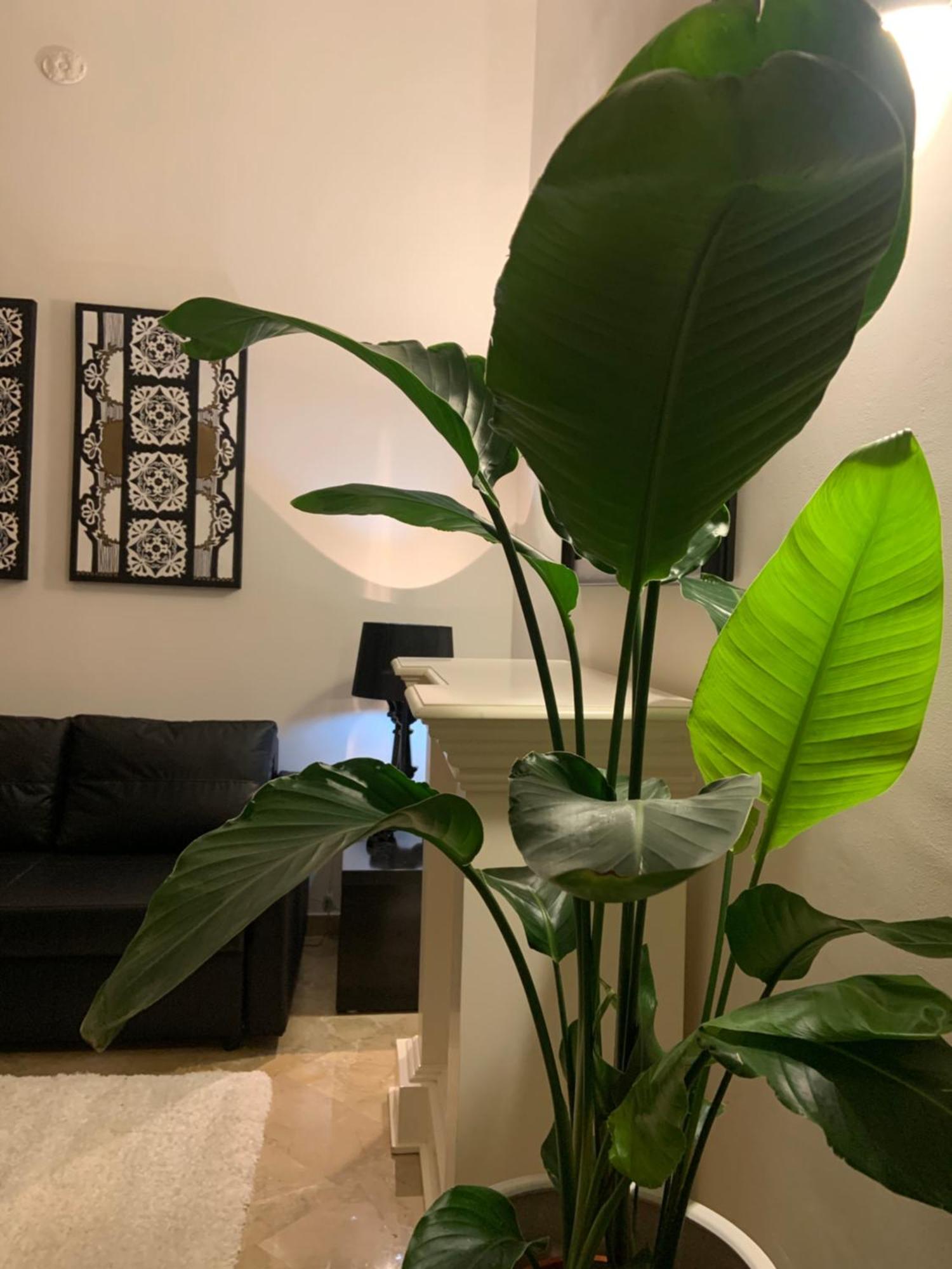 Bari Downtown Luxury Apartment 외부 사진